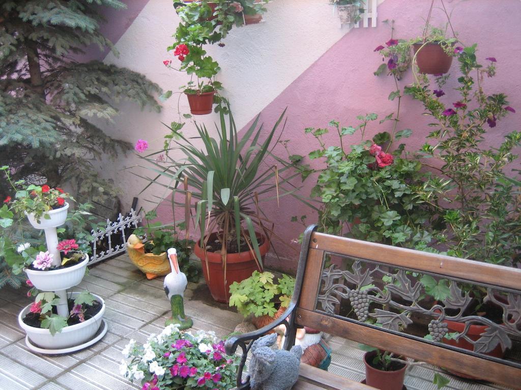 Art Guest House Orchidea 포마리 외부 사진